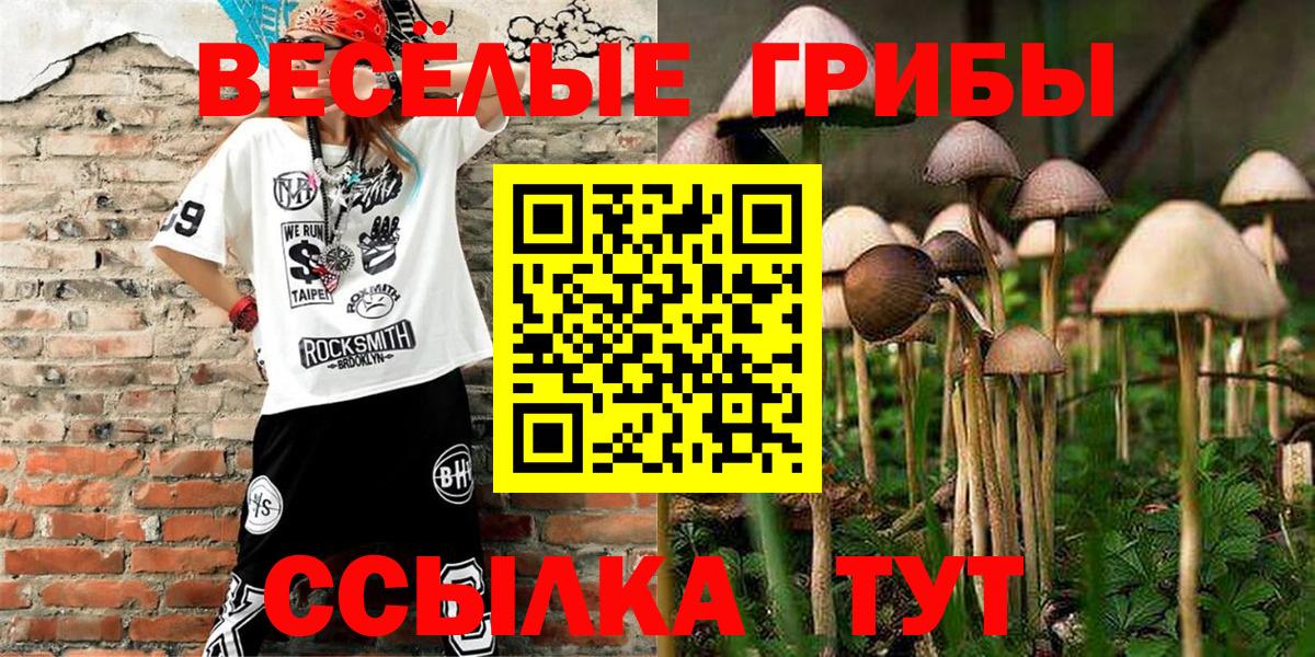 Псилоцибиновые грибы Psilocybine cubensis  магазин продажи наркотиков  Звенигород  Псилоцибиновые грибы Magic Shrooms  Вход с VPN 