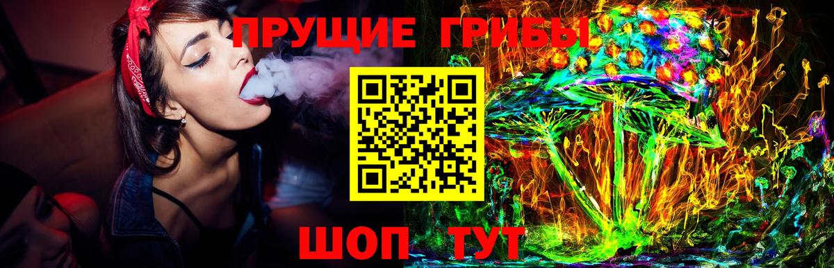 Галлюциногенные грибы Cubensis Звенигород